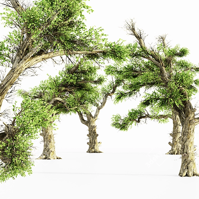 Glorious Honey Tree Set 3D model image 2