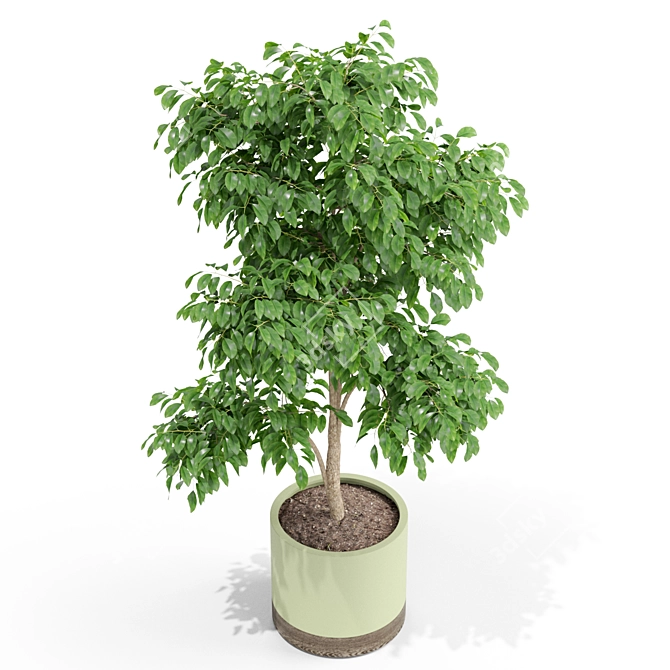 Botanical Bliss: 426 Greenery Galore 3D model image 2