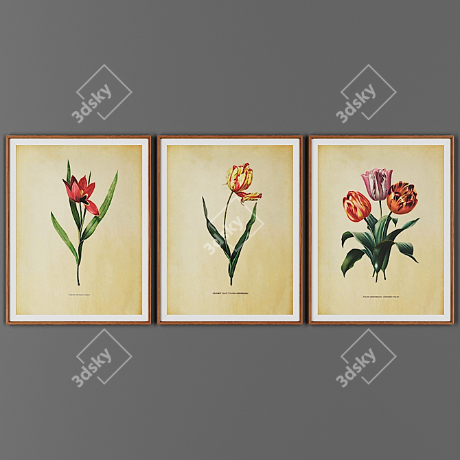 Wooden Frame Picture Set 3D model image 1