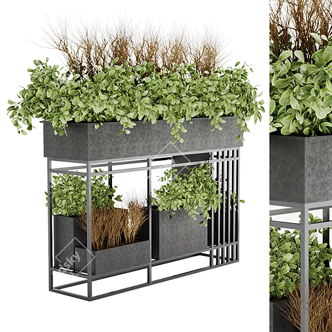  Premium Plant Collection Vol. 13 3D model image 1
