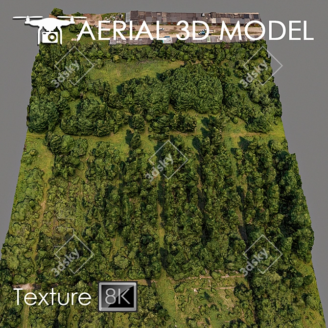 Lush Forest Landscape Model 3D model image 2