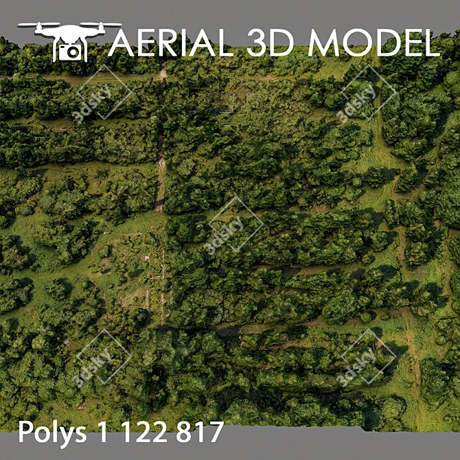 Lush Forest Landscape Model 3D model image 3