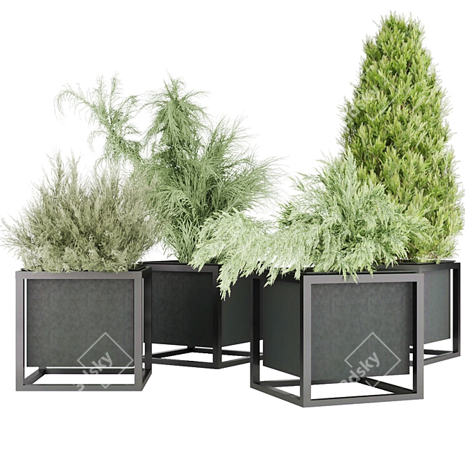 Volume 14: Premium Plant Collection 3D model image 4