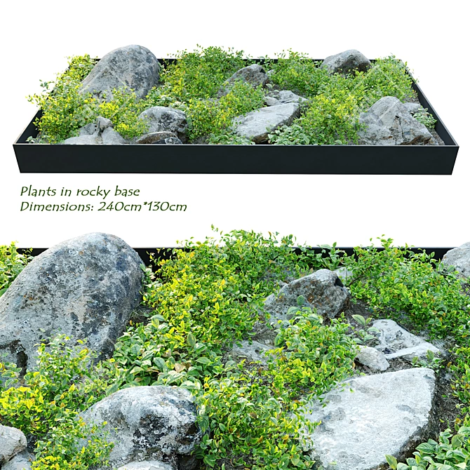 Rocky Base Plant Collection 3D model image 1