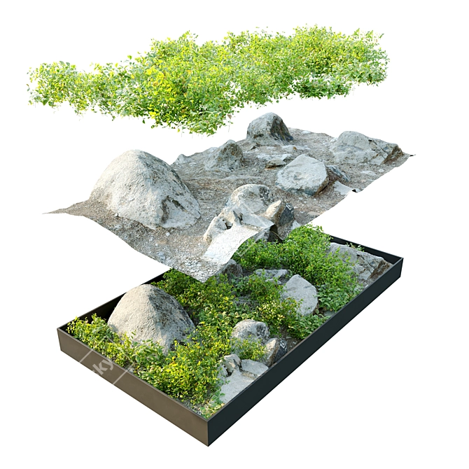 Rocky Base Plant Collection 3D model image 2