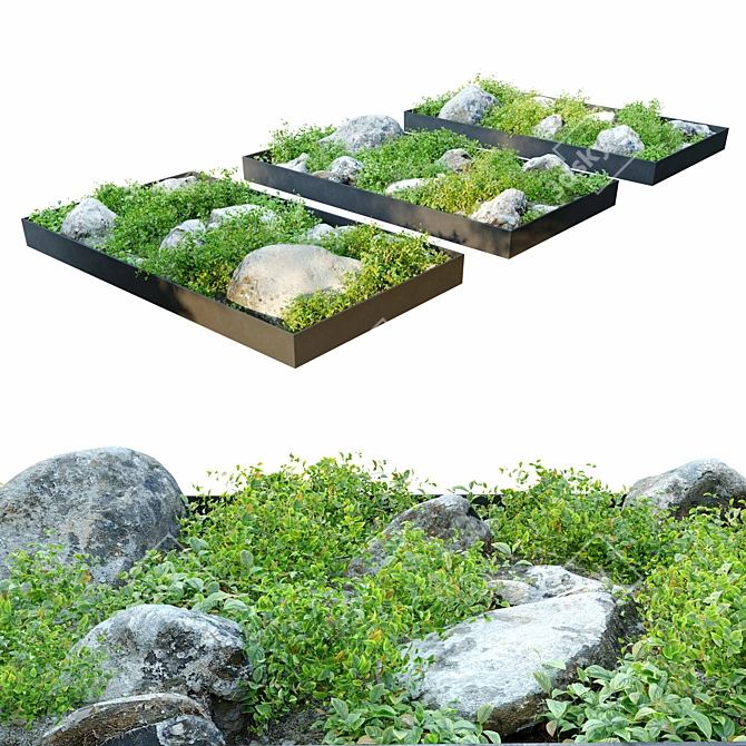 Rocky Base Plant Collection 3D model image 3