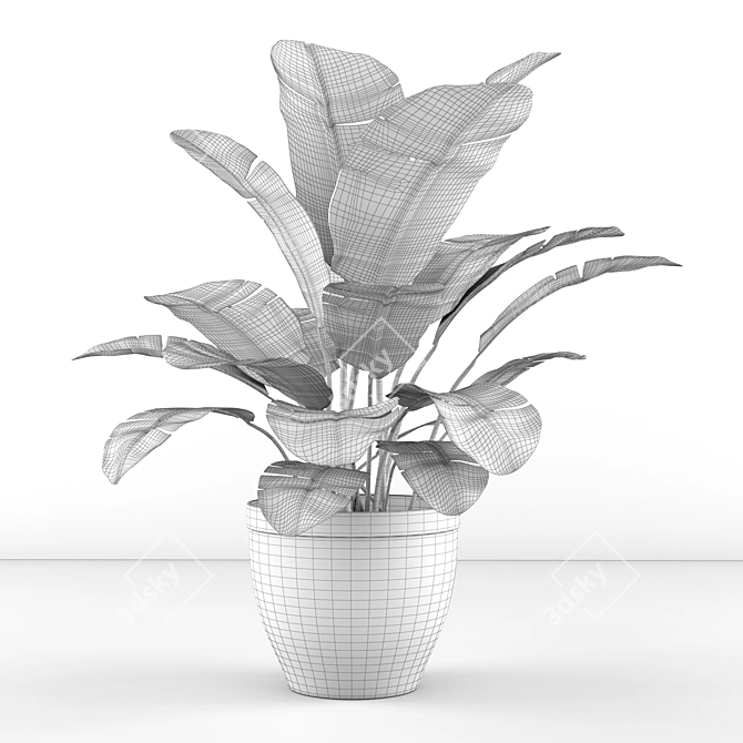 Tropical Paradise Banana Palm 3D model image 3