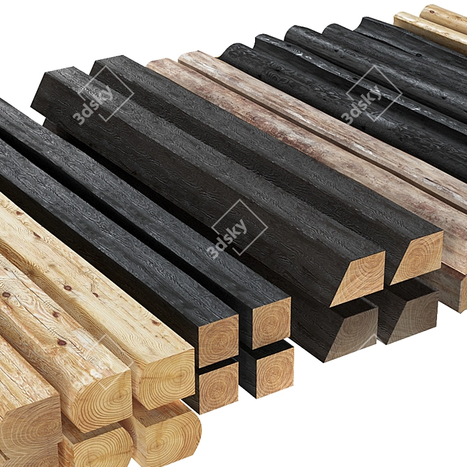 Stained Logs with Various Sections 3D model image 3