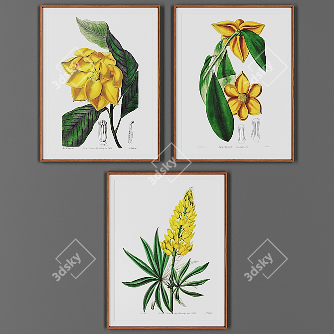 Wooden Frame Picture Collection 3D model image 1