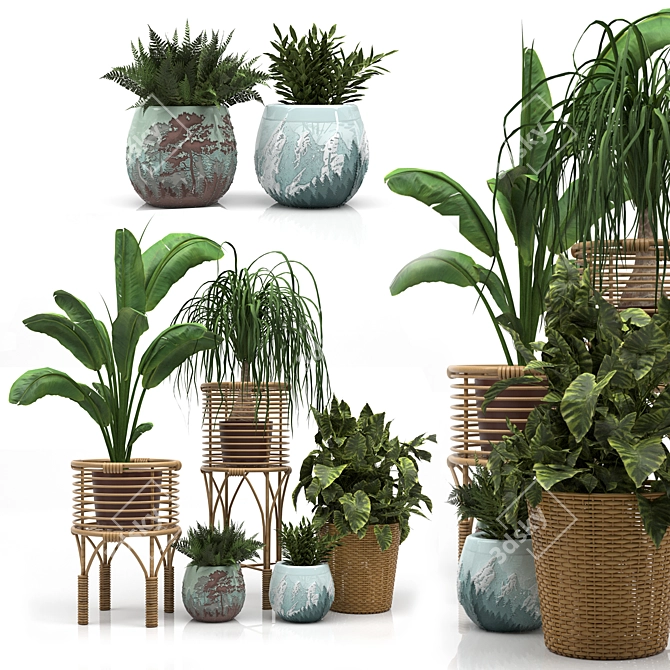 Eco-Friendly Indoor Plants Set 3D model image 1