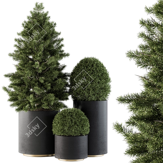 Elegant Outdoor Tree Set in Concrete 3D model image 1