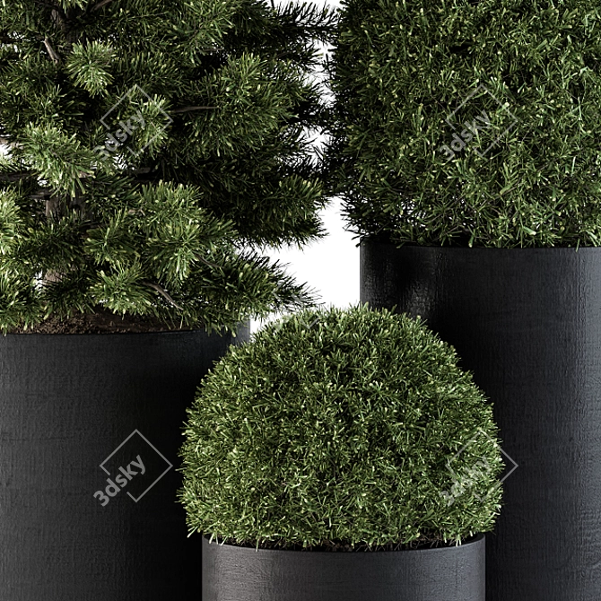 Elegant Outdoor Tree Set in Concrete 3D model image 2