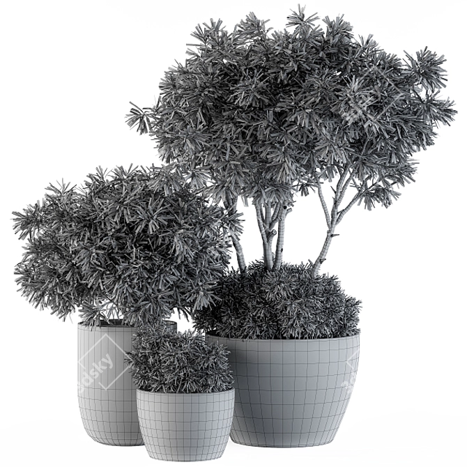 Concrete Pot Outdoor Tree Set 3D model image 5