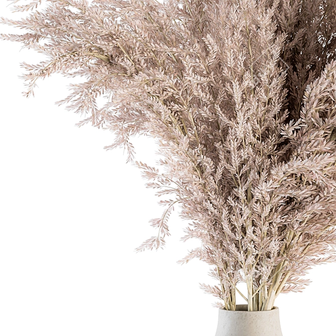 Natural Pampas Grass Bundle 3D model image 3