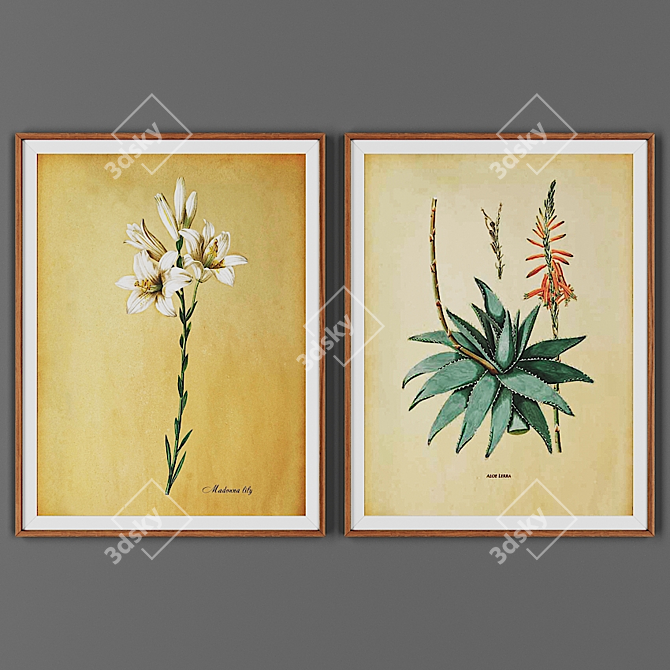 Wooden Frame Picture Collection 3D model image 1