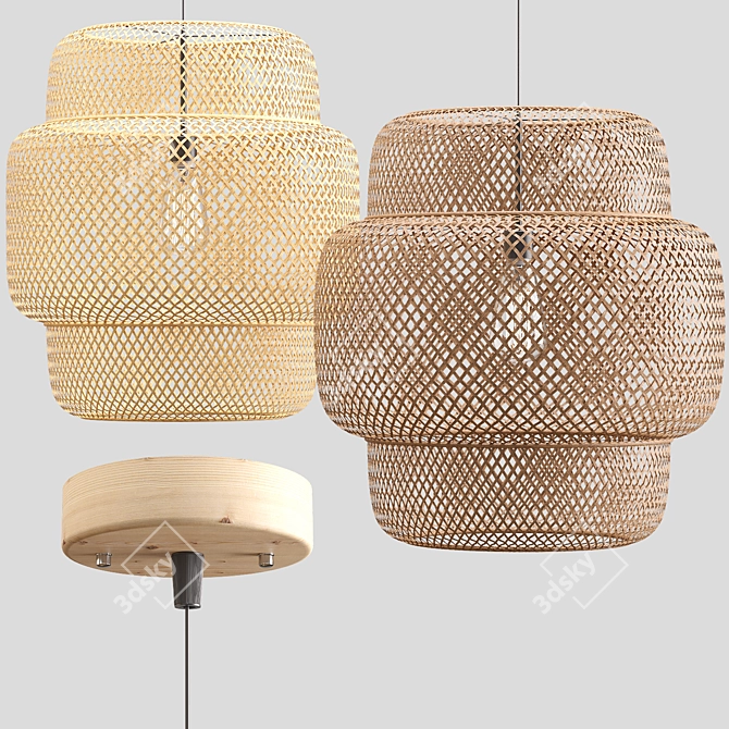 Handcrafted Rattan Pendant Lights 3D model image 2