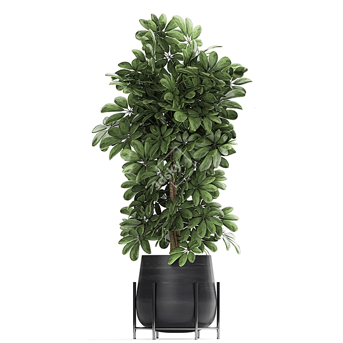 Exotic Plant Collection for Indoor and Outdoor - 769 3D model image 3