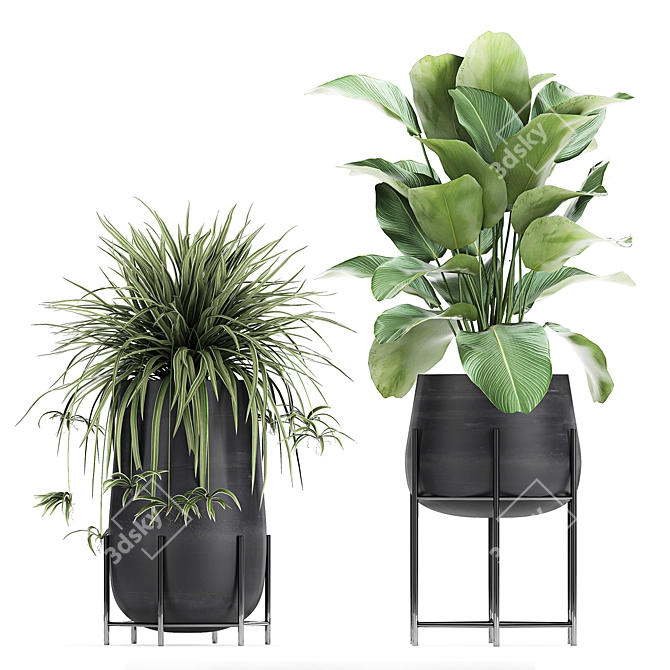 Exotic Plant Collection for Indoor and Outdoor - 769 3D model image 4