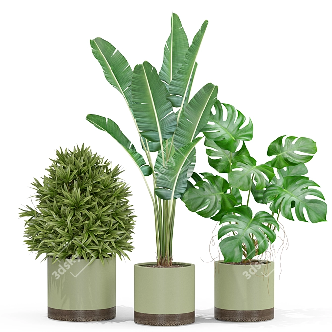 Botanical Bliss: 429 Plant Collection 3D model image 2