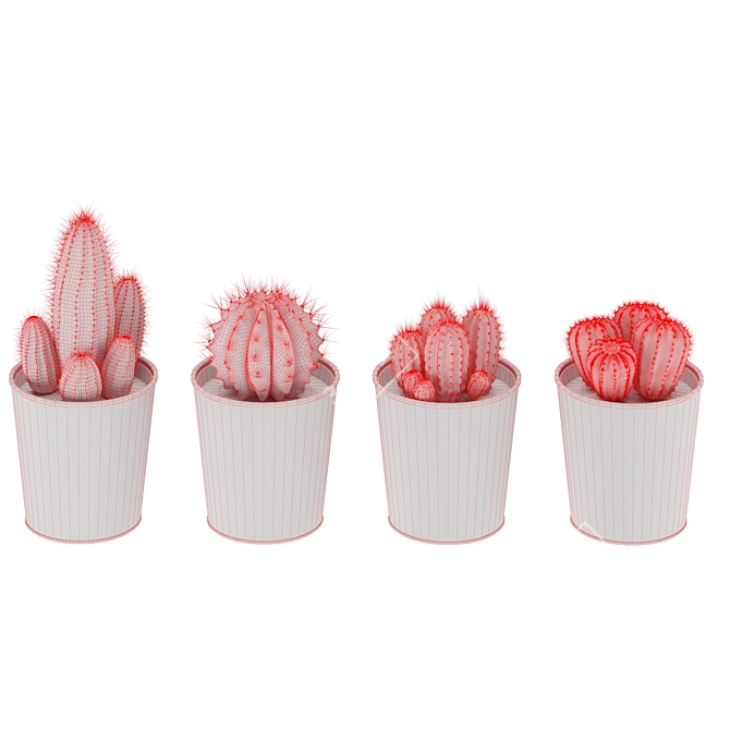 Sleek Cactus Set for Modern Spaces 3D model image 1