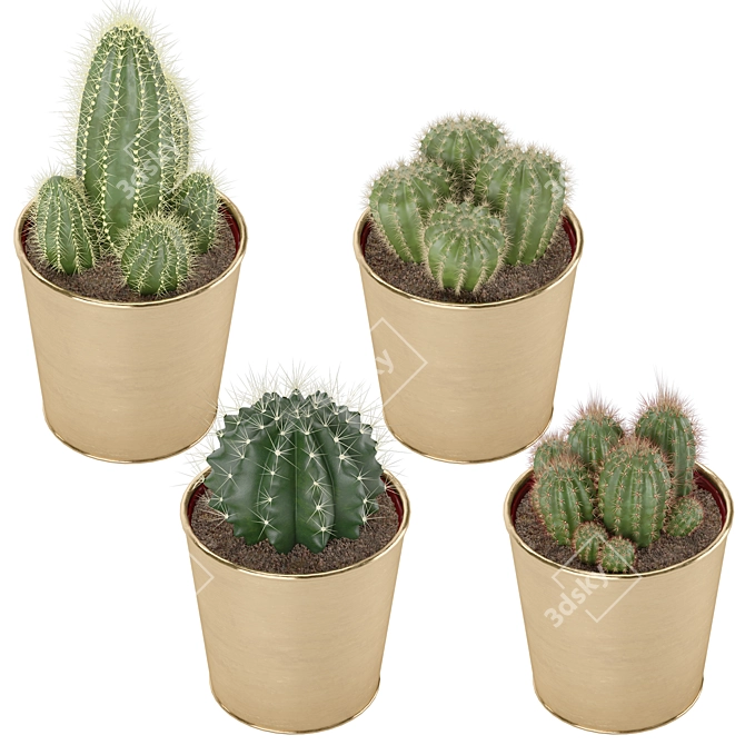 Sleek Cactus Set for Modern Spaces 3D model image 3