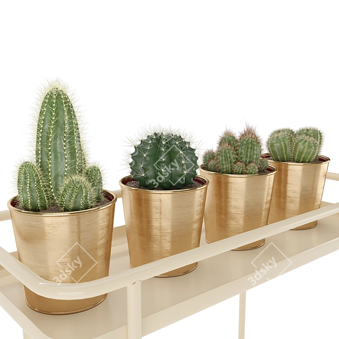 Sleek Cactus Set for Modern Spaces 3D model image 4