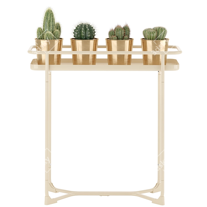 Sleek Cactus Set for Modern Spaces 3D model image 5