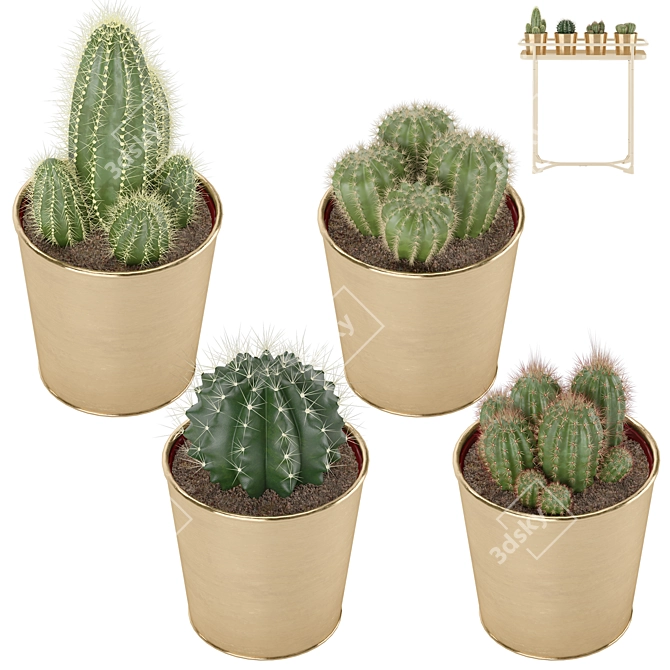 Sleek Cactus Set for Modern Spaces 3D model image 7