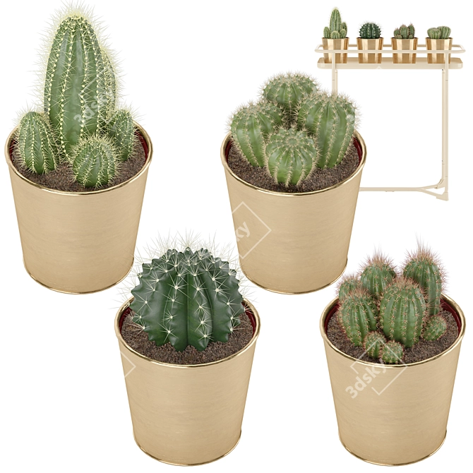 Sleek Cactus Set for Modern Spaces 3D model image 8