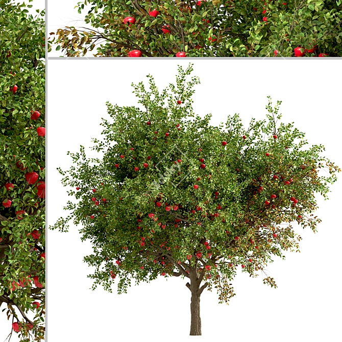 Dual Apple Tree Set 3D model image 4