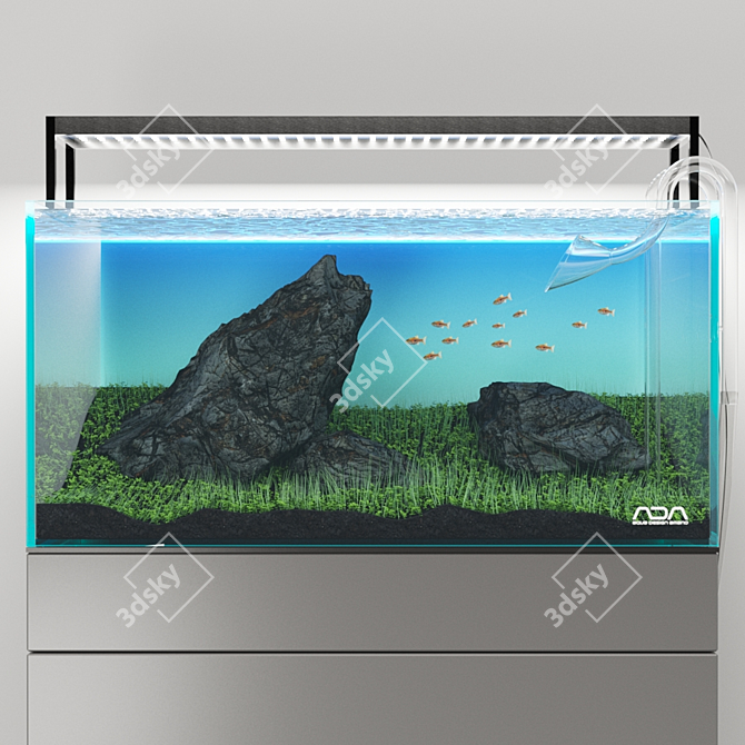 Iwagumi Style ADA Aquarium Set 3D model image 3