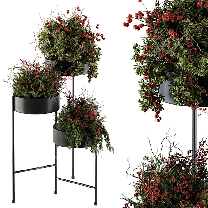 Plant Set 103: Black Stand 3D model image 1