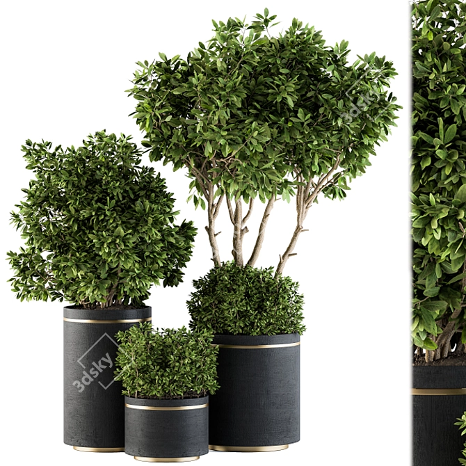 Elegant Indoor Plant Set: Black & Gold 3D model image 1