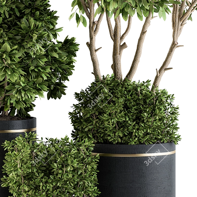 Elegant Indoor Plant Set: Black & Gold 3D model image 3