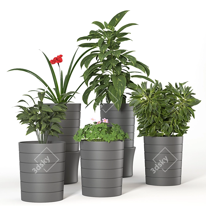 Stylish Indoor Plant Vases 3D model image 1