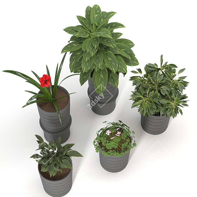 Stylish Indoor Plant Vases 3D model image 2