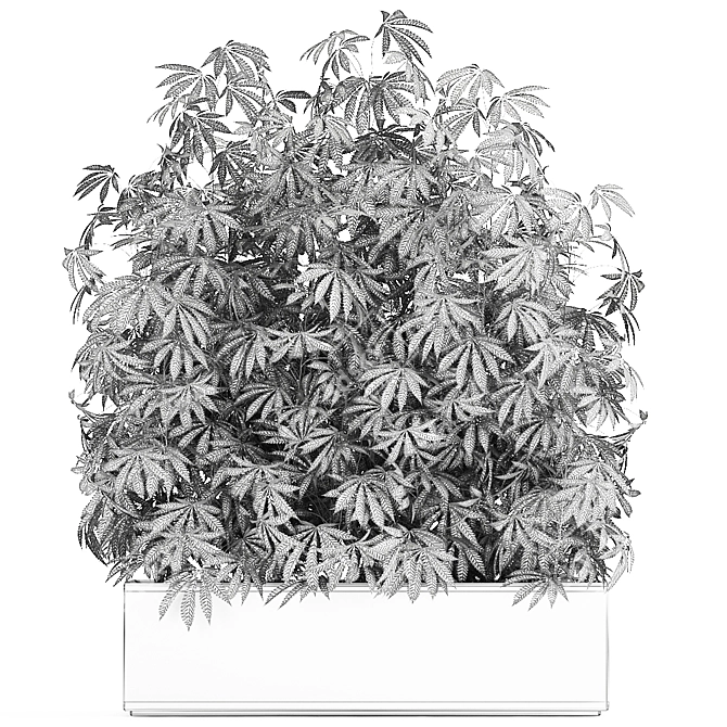 Black Pot Cannabis Collection 3D model image 5