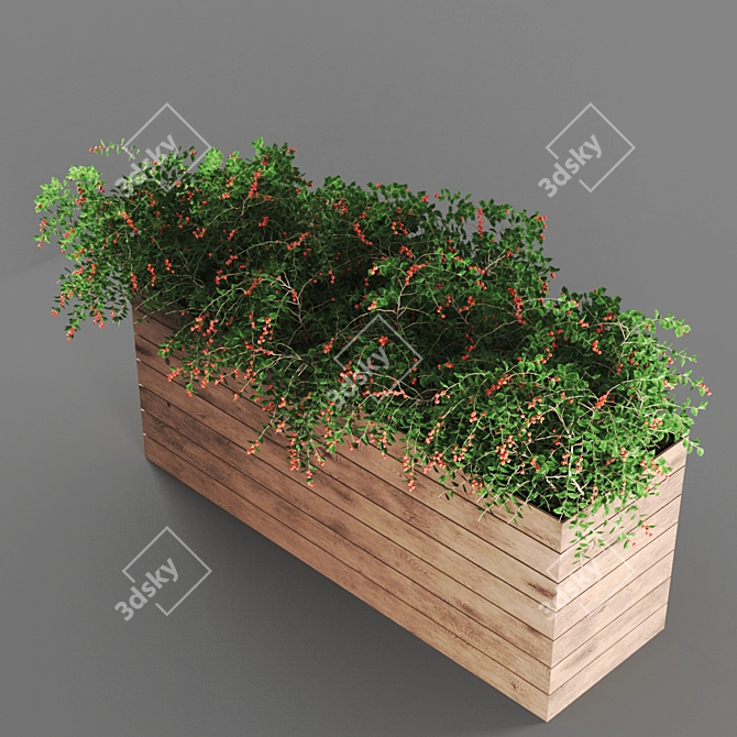 Stunning Poly Plant Collection 3D model image 3