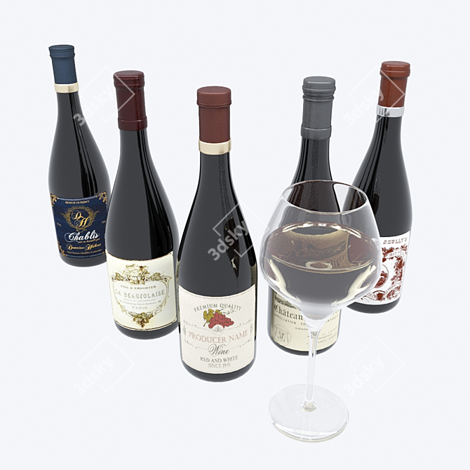 Deluxe Wine Bottle Set 3D model image 3