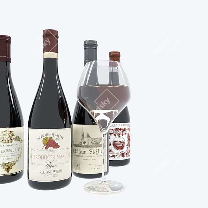 Deluxe Wine Bottle Set 3D model image 4