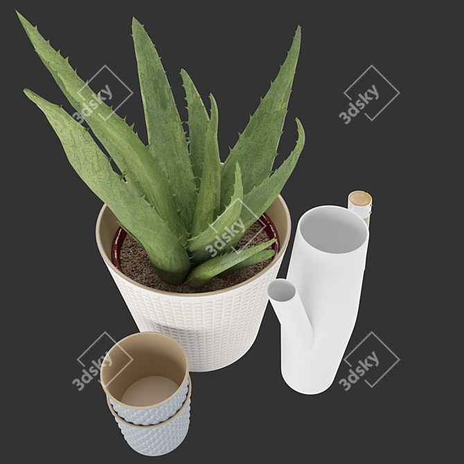 Soothing Set: Aloe Vera & Bittergurka Watering Can 3D model image 3