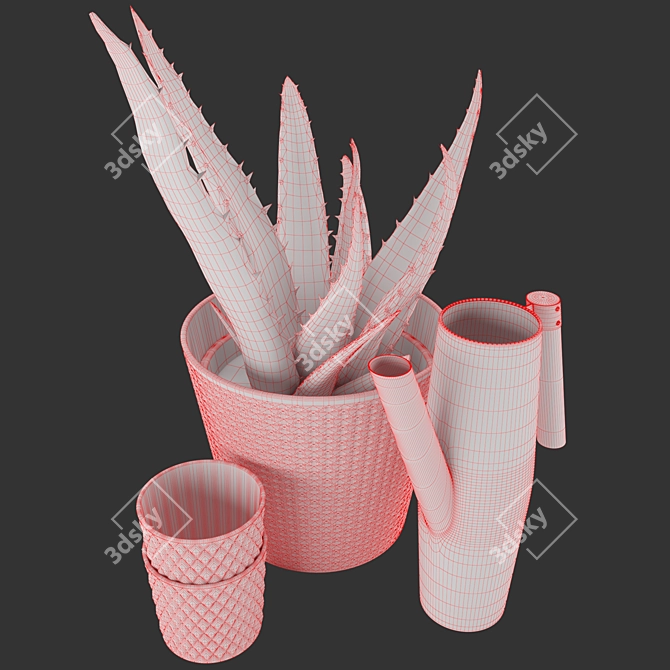 Soothing Set: Aloe Vera & Bittergurka Watering Can 3D model image 5