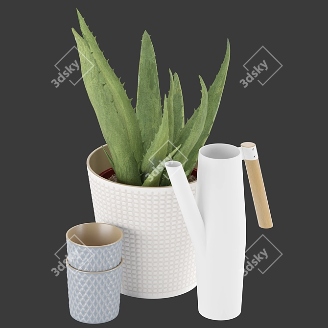 Soothing Set: Aloe Vera & Bittergurka Watering Can 3D model image 6