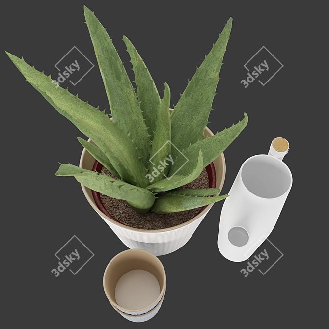 Soothing Set: Aloe Vera & Bittergurka Watering Can 3D model image 7