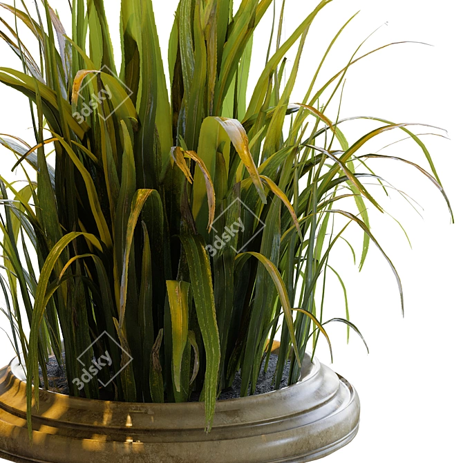 Stunning Outdoor Plants Collection 3D model image 2