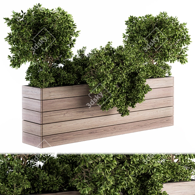  Rustic Wood Planter Set with Outdoor Plants 3D model image 1