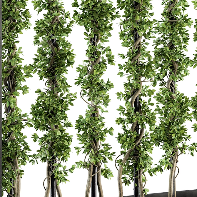 Metal Frame Vertical Garden Partition 3D model image 3