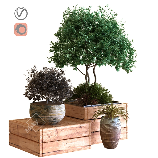 Urban Green Box: Tree Set 3D model image 1
