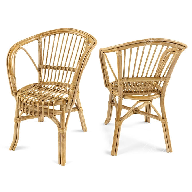 Cozy Rattan Garden Armchair 3D model image 1