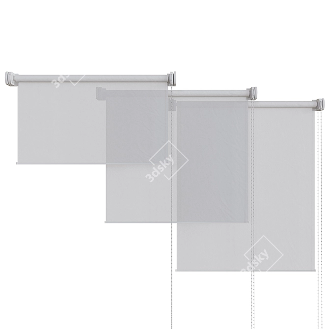 Adjustable Roller Blinds: Transparent and Blackout Options 3D model image 1